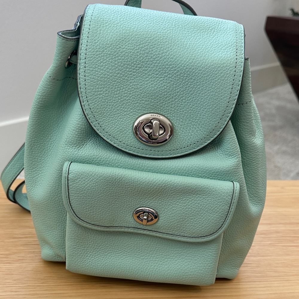 Coach Leather Mini Drawstring Backpack in Mint - image 4